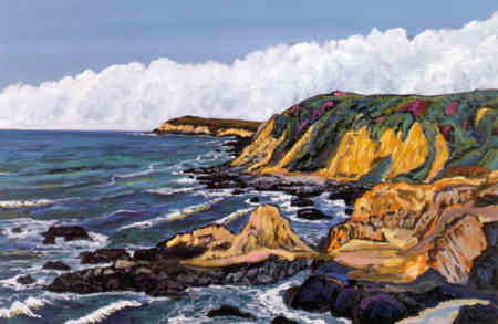 Bodega Head